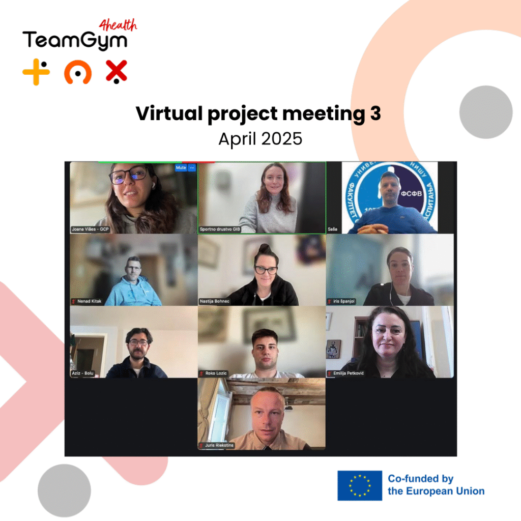 Virtual project meeting 3